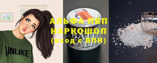 сатива Белокуриха