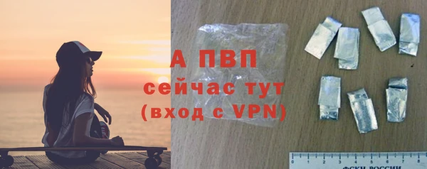 сатива Белокуриха