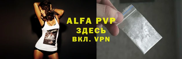 сатива Белокуриха