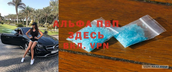 сатива Белокуриха